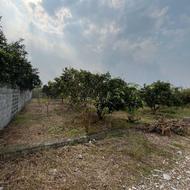 فروش زمین مسکونی 250 متر در قائمیه