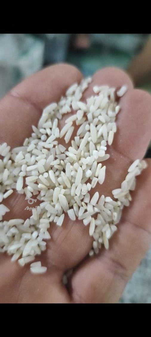 بازرگانی برنج علیزاده