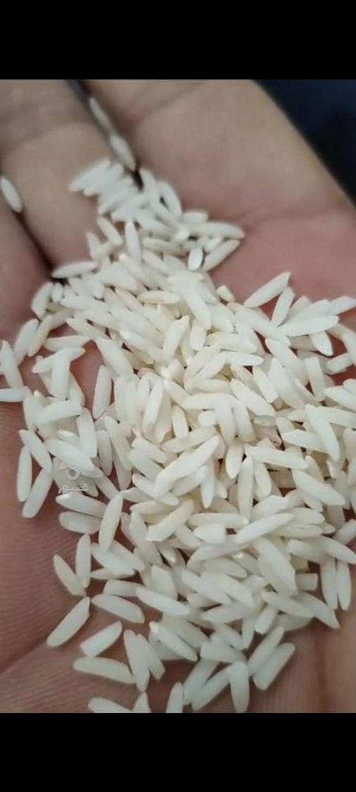 بازرگانی برنج علیزاده