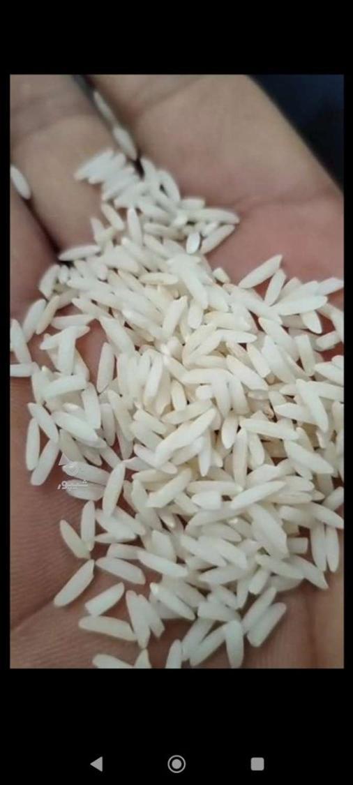 بازرگانی برنج علیزاده