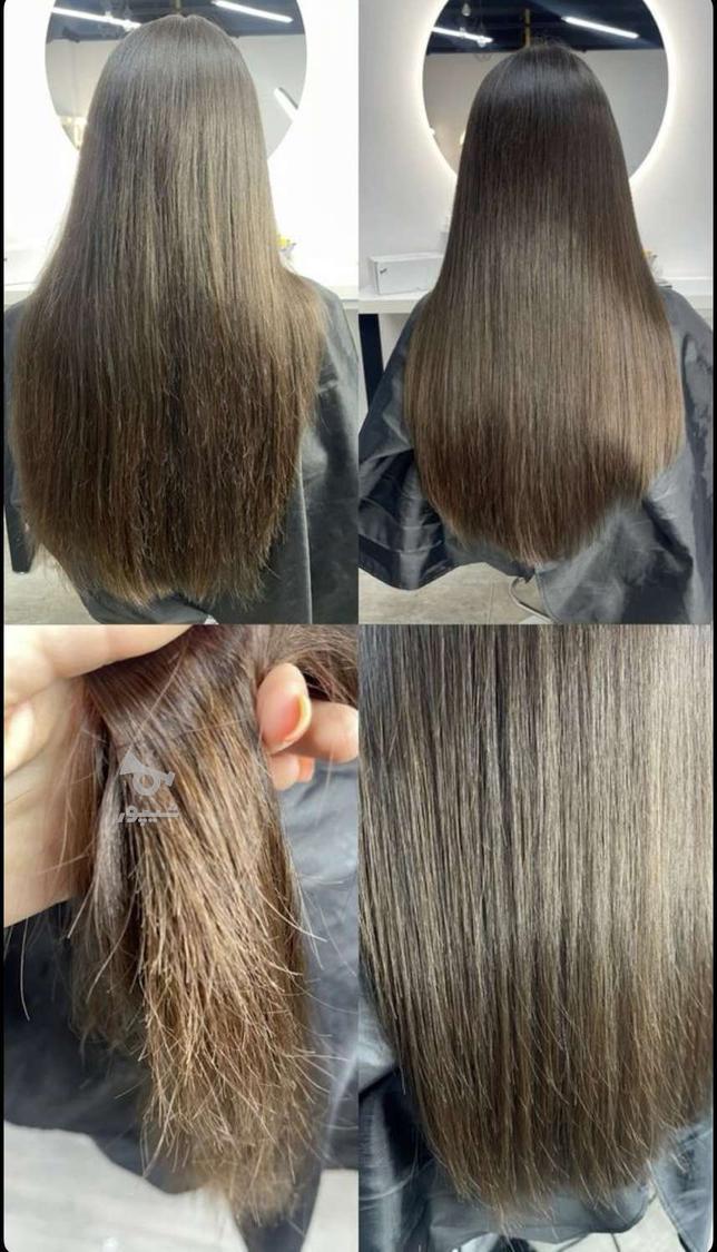 عمرا اگه باور کنی