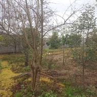 فروش زمین مسکونی 1070 متر در جاده اصلی