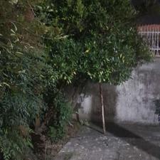 فروش ویلا 190 متر در امیرمازندرانی