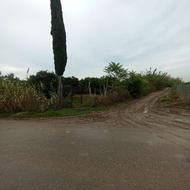 باغ پرمحصول خوش موقعیت/7000متر/دارای سند تک برگ