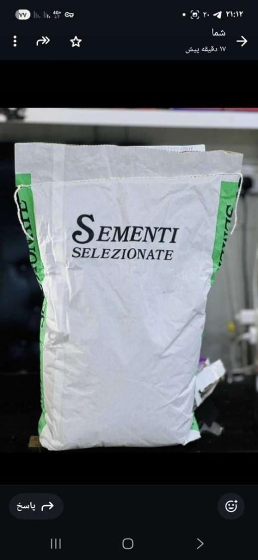 بذر یونجه ایتالیایی درجه یک