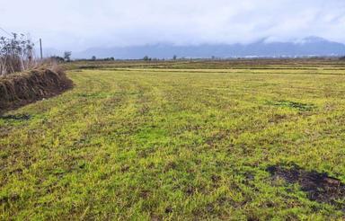 زمین کشاورزی