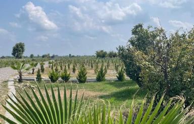 زمین داخل بافت در بهترین نقطه شهر ،آماده ساخت و ساز فوری