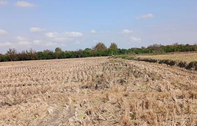 فروش زمین کشاورزی 6000 متر در سید محله