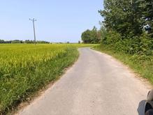 1.5 هکتار زمین مزروعی با امتیاز برق و چاه در فشتم لولمان در شیپور