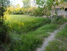 258 متر زمین مسکونی در فشتم لولمان رشت در شیپور