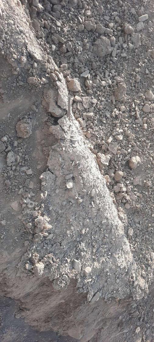 بازنشسته جویای کار - undefined