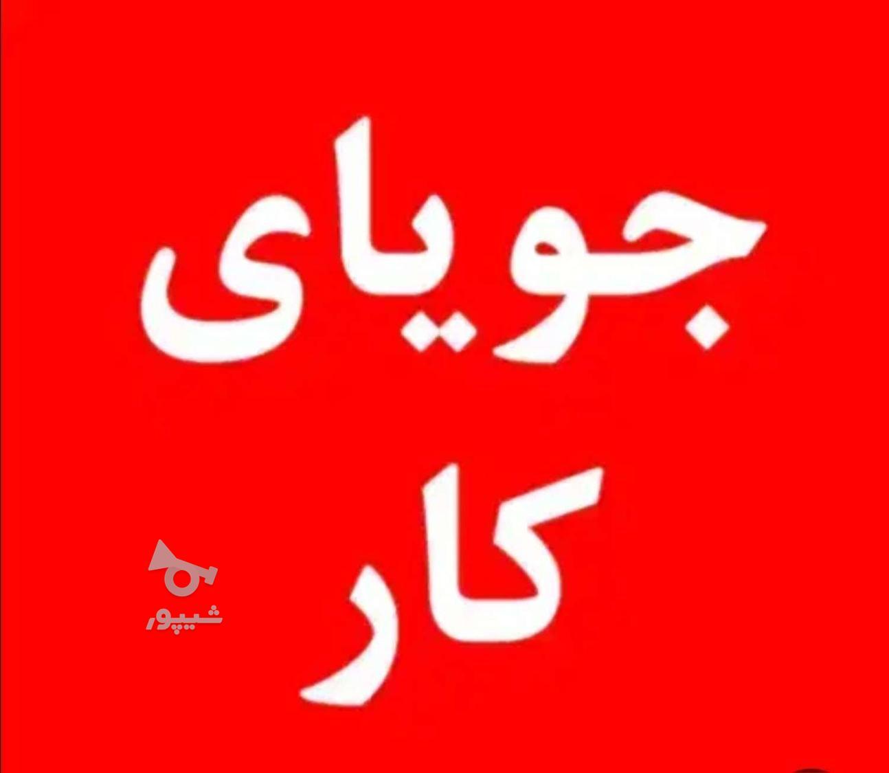 جویای کارخدماتی نظافتی - محسن