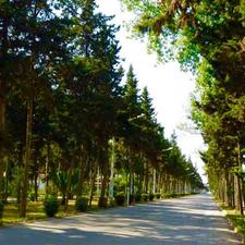 شهرک دریاکنار خیابان12/رهن ویلا 720 متر زمین 400متربنا 4خواب