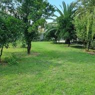 فروش زمین مسکونی 1000 متر در گوشی کلا