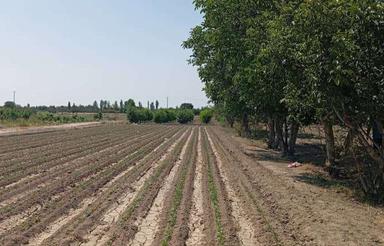 فروش زمین مسکونی 3500 متر در نمکلان