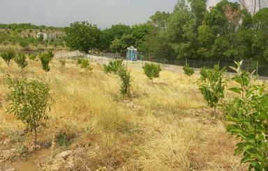 فروشی باغ 2500 متری دیزبین اهر