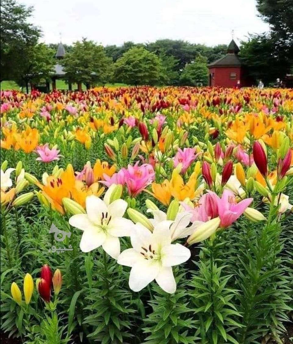 جویای کار در منزل - undefined