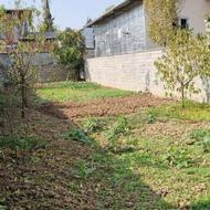 240 متر زمین مسکونی سند تک برگ قادیکلا بزرگ