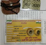 مهره مار اصل پایتون