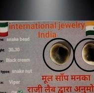 مهره مار اصل شاه کبری سیاه دون