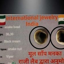 مهره مار اصل شاه کبری سیاه دون