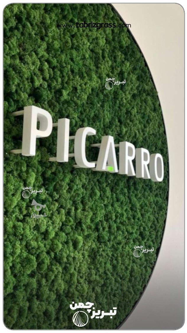 نصب و فروش خزه مصنوعی