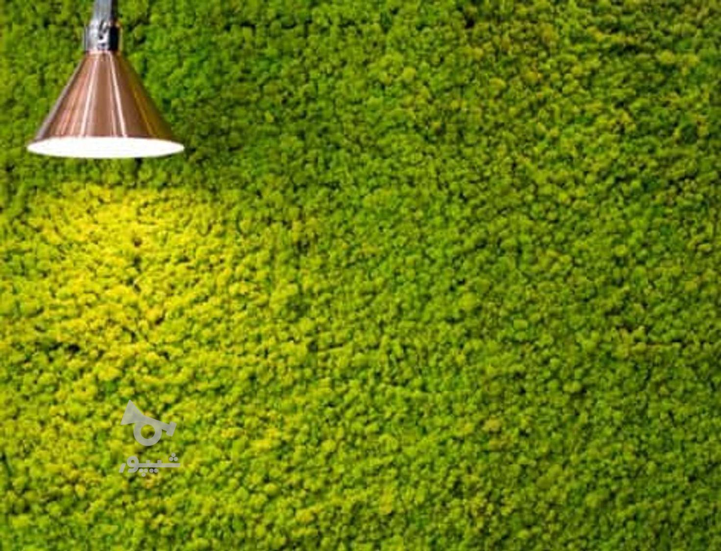 نصب و فروش خزه مصنوعی