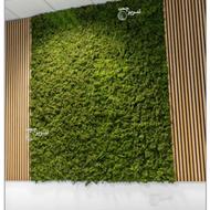 نصب و فروش خزه مصنوعی