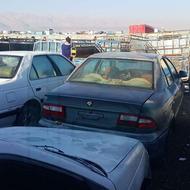 حراج دولتی سمند