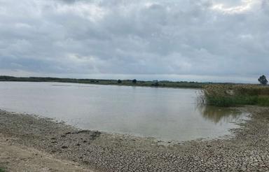 فروش پرورش ماهی به مساحت 15 هکتار در منطقه زاغمرز