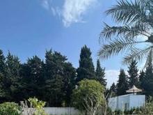 فروش زمین مسکونی 200 متر در بلوار دریا در شیپور