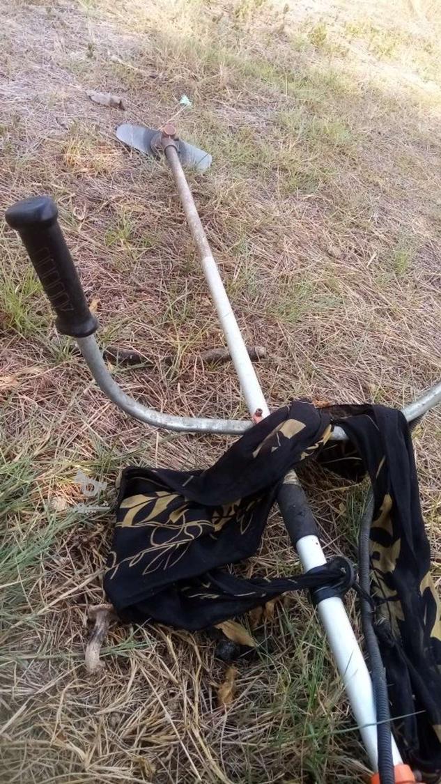 شخم زدن با کالیواتور