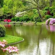 61متری 2 خواب تک واحدی 4 ط طبقه اول