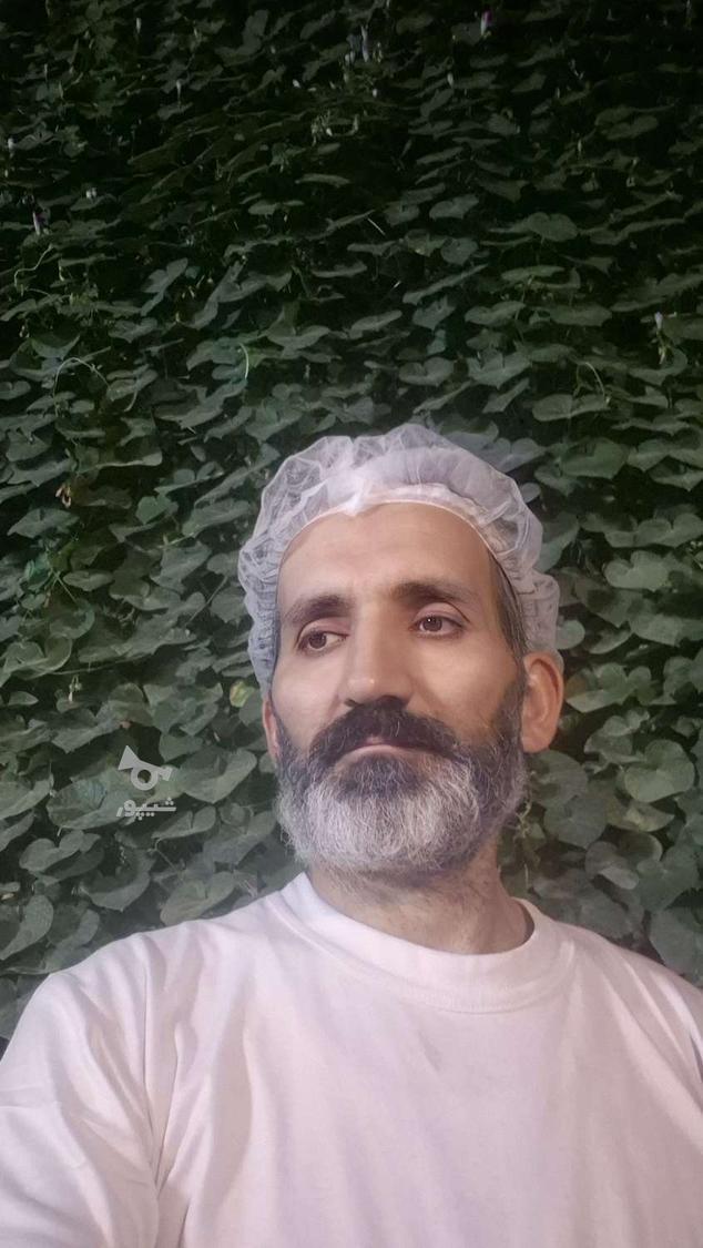 شاطر با تجربه - undefined