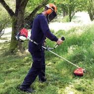 علف زنی دستگاه