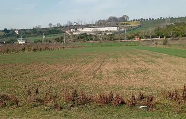 زمین 4800 متری - جنب میدان بار