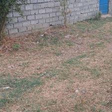 فروش زمین مسکونی 400 متر در جاده کیاکلا