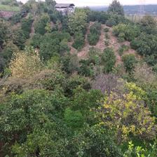 فروش ویلا 9000 متر در جاده نظامی