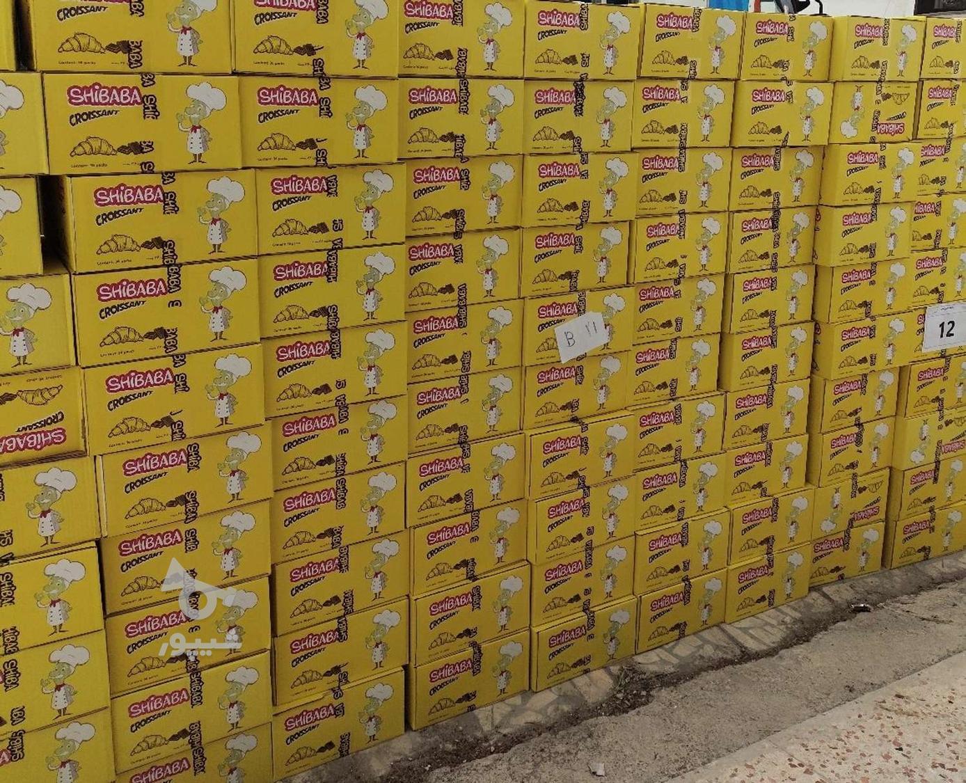 کروسان شیبابا 36 عددی