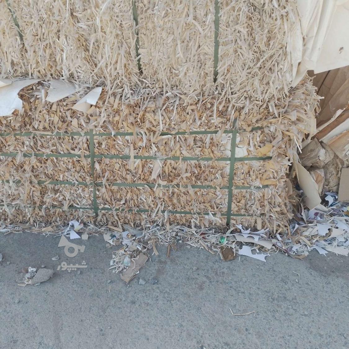 خرید فروش کارتون