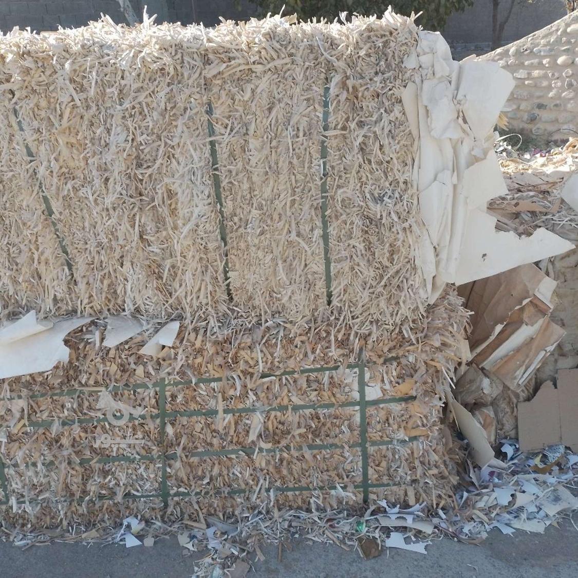 خرید فروش کارتون