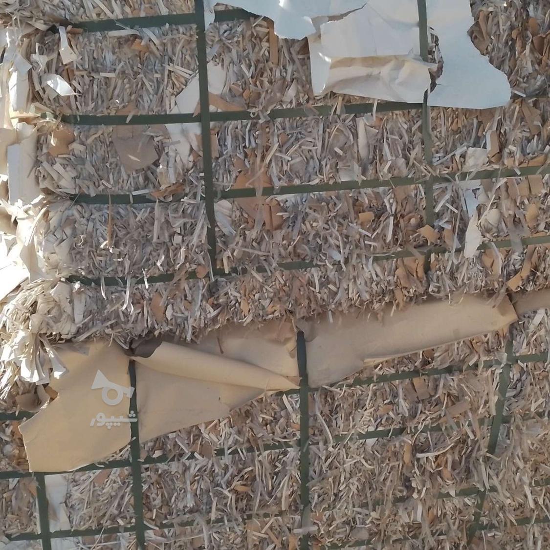 خرید فروش کارتون