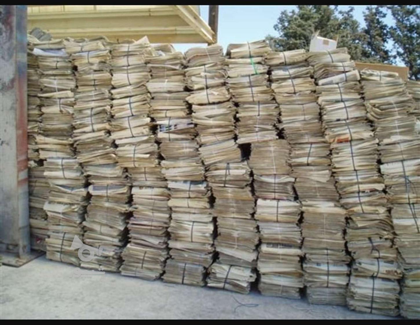 خرید فروش کارتون