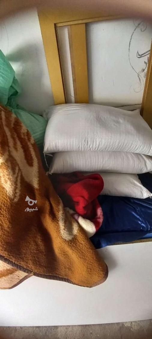 برنج طارم بی نام کشت دو