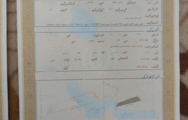 زمینی کشاورزی 200میلیون.