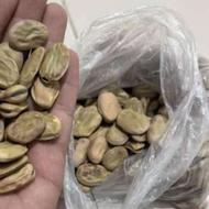 باقلابرکت 7بند وهیستال