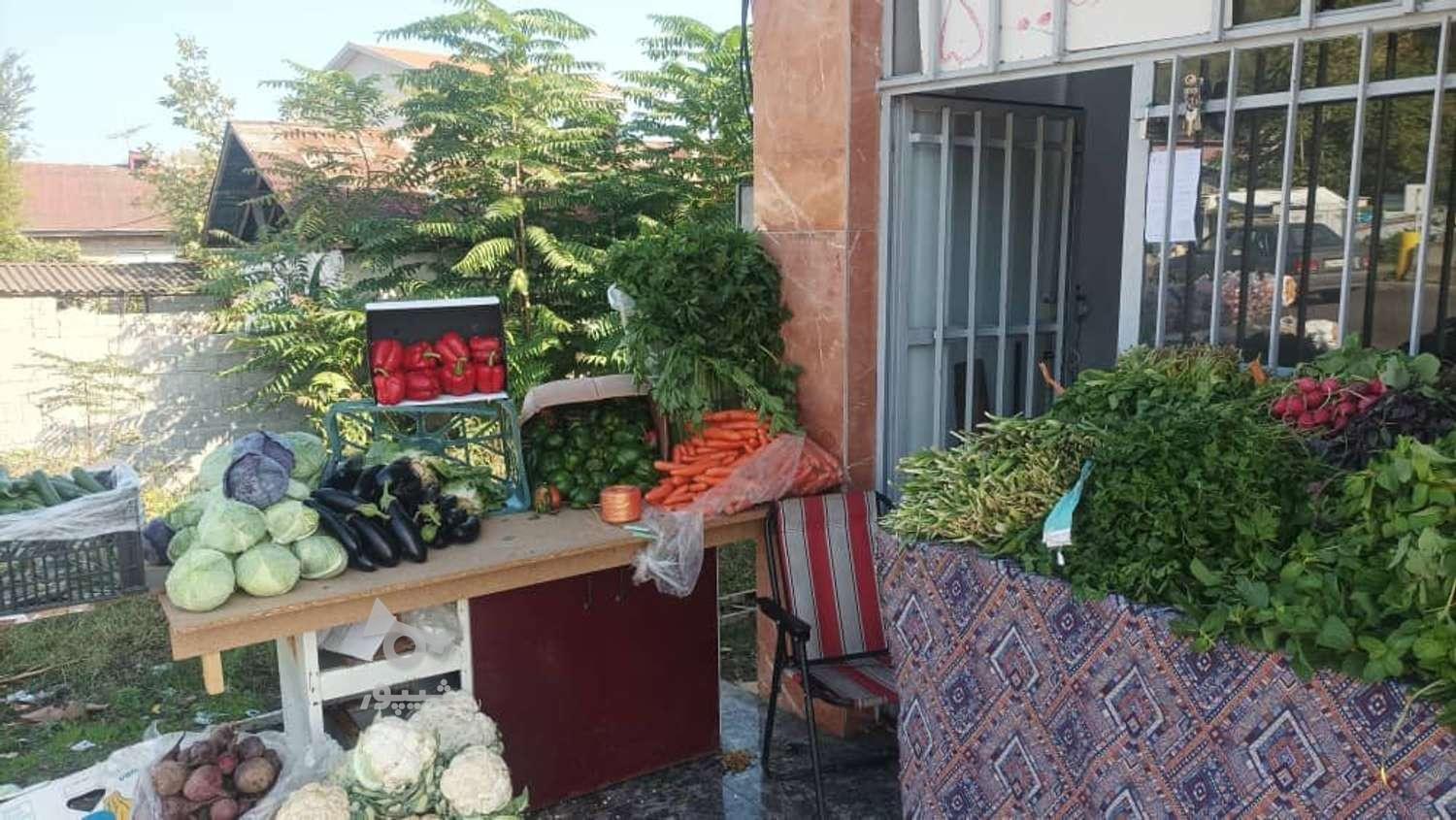 سبزی فروشی تروتازه