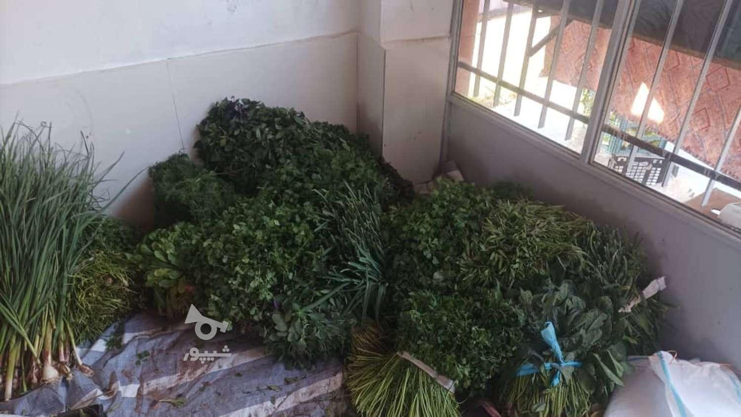 سبزی فروشی تروتازه