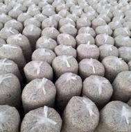 تفاله چغندر خشک