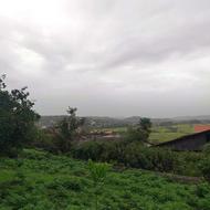 فروش زمین مسکونی 281 متر در کلیج خیل